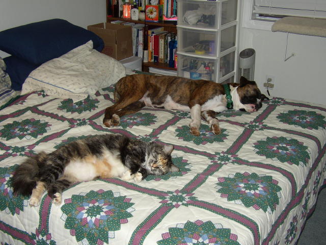 Just a nap