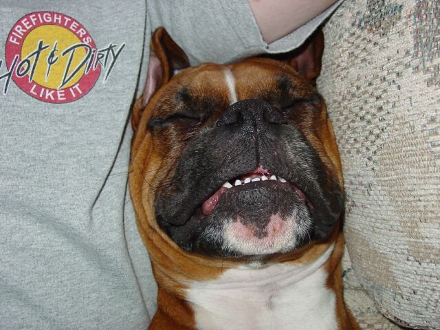 Just Call Me Snaggleteeth