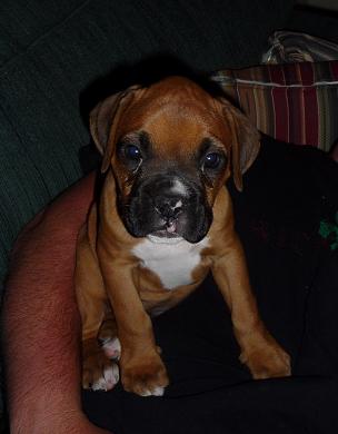 Just came home <3