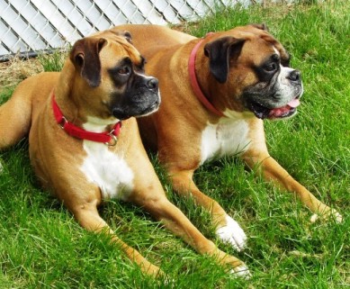 Just chillin out on a warm Summer day