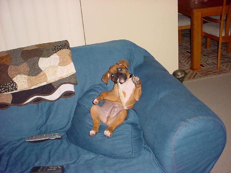 Just chillin