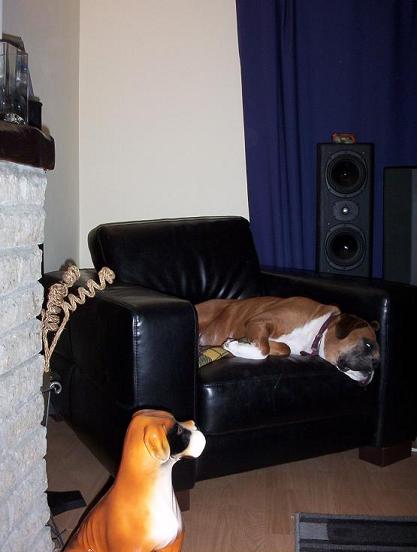Just chillin'