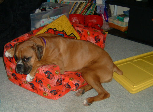 Just Chillin'