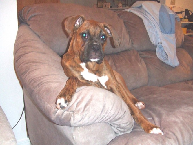 Just Chillin'