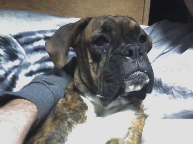Just Chillin