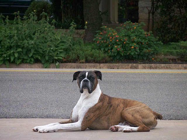 just chillin