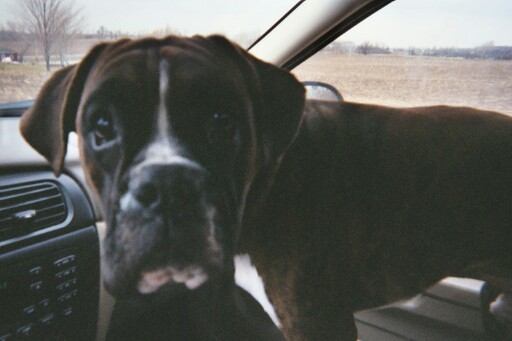 Just cruisin' around