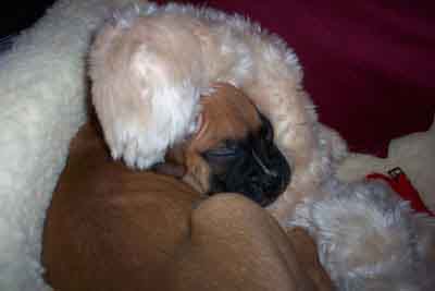 just cuddling