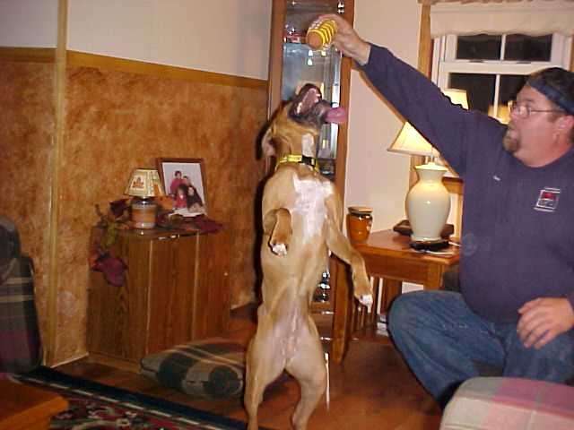 Just give it to me!