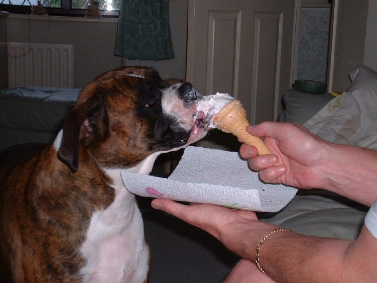 just give me that cone !