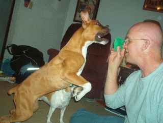 Just give me the ball!!!!