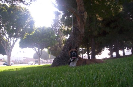 JUST KICKING BACK..