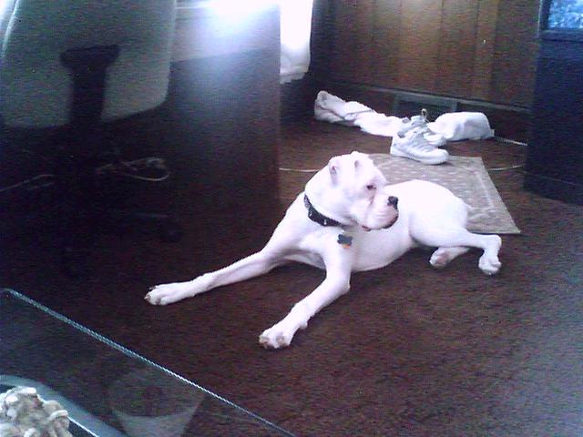 Just laying around