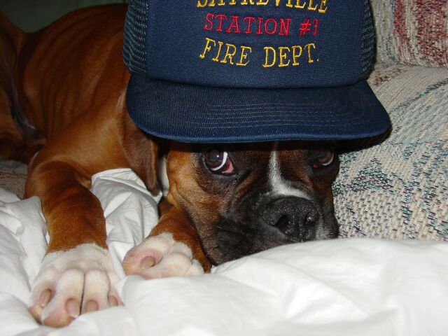 Just Like Dad