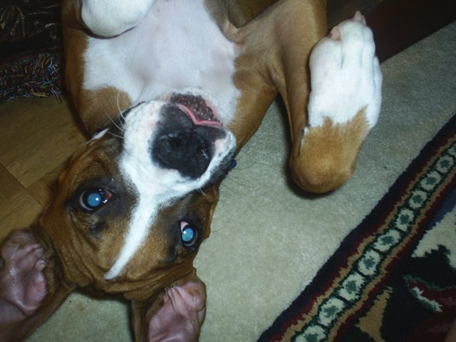 Just like the Easter Bunny