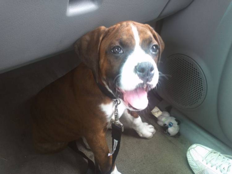 Just look at this face!!!