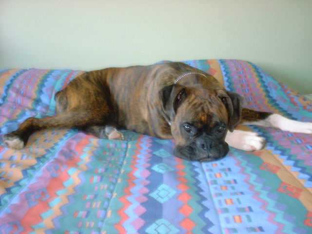 Just Loungin