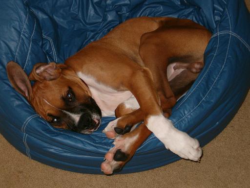 just lounging around