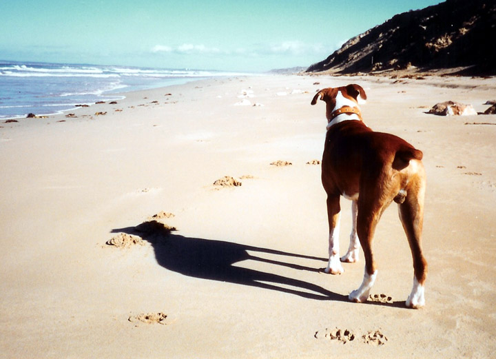 Just me and my shadow.