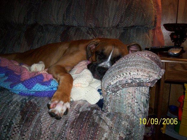 Just over 6 months old.  Taking a nap