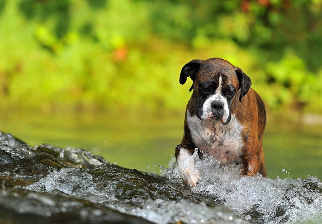 Just paddling