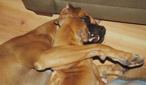 Just Playing Mom - Honest!
