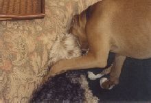 Just playing!