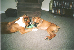 Just Playing