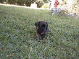 Just Relaxing!  7wks old
