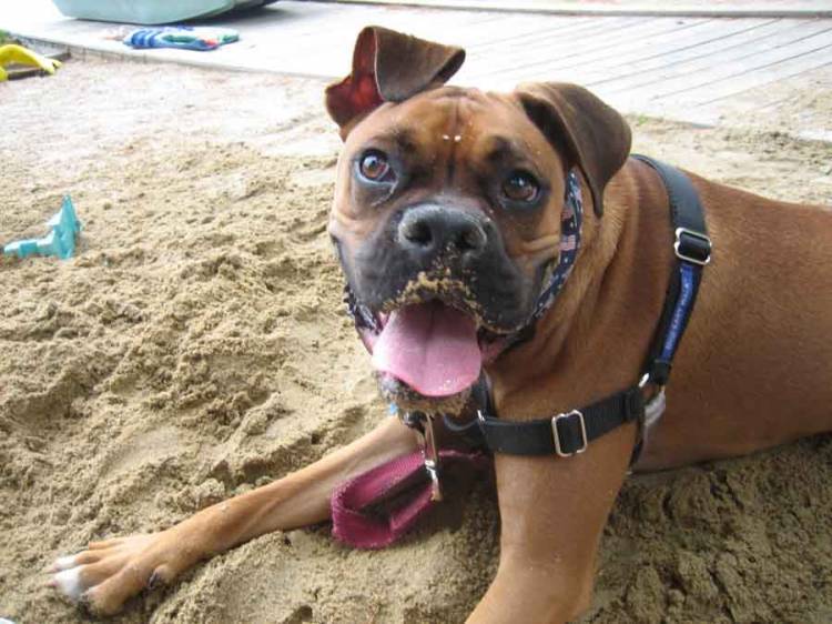 Just relaxing on the beach after digging