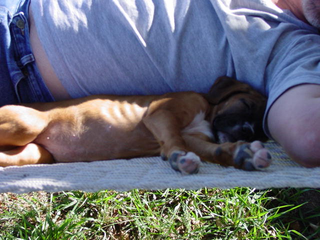 Just Relaxing