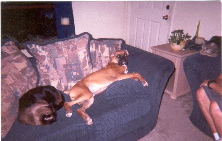 Just Relaxing!