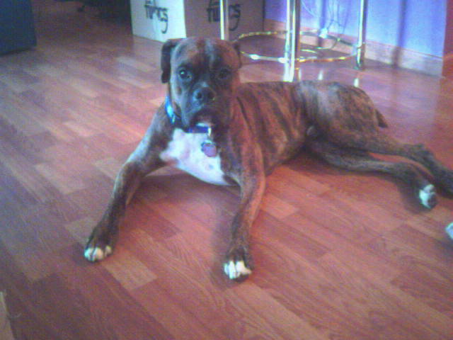 Just Relaxing