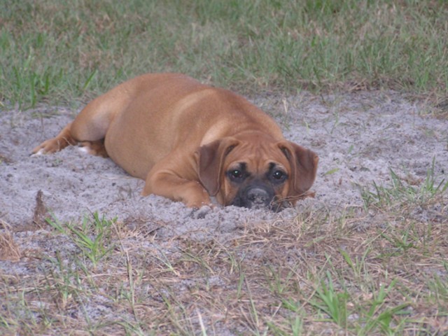 Just Relaxing