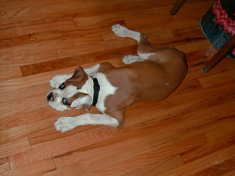 Just relaxing!