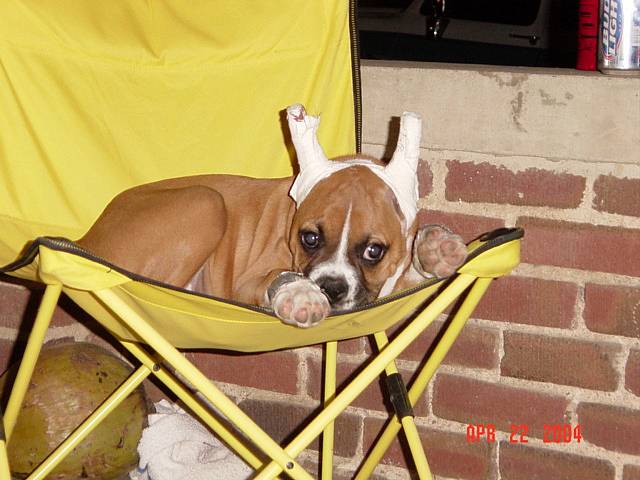 just  resting
