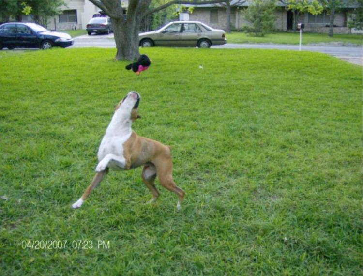 Just showin off!