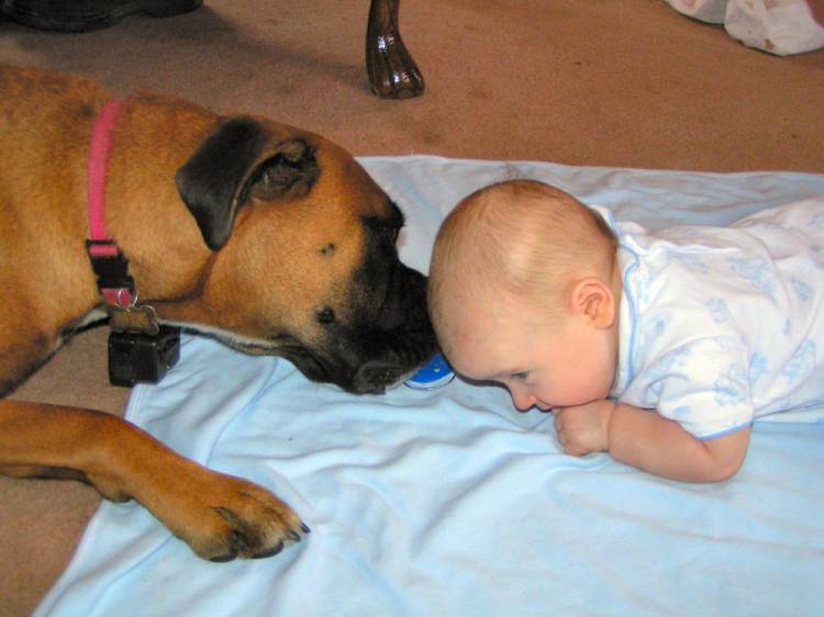 Just Sniffin