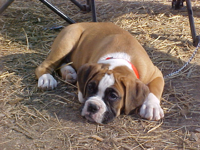 Just so Cute