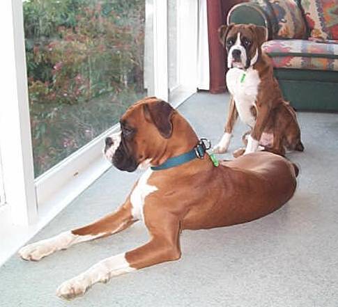 Just supervising
