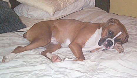 Just taking a cat nap......