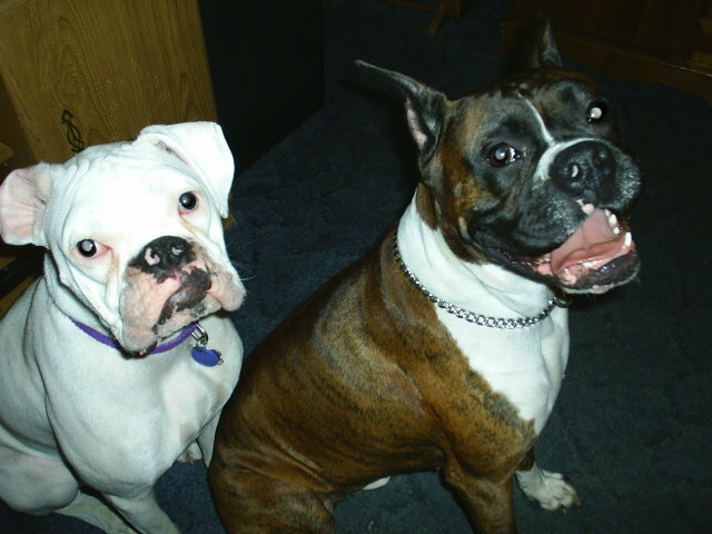 just the 2 of us
