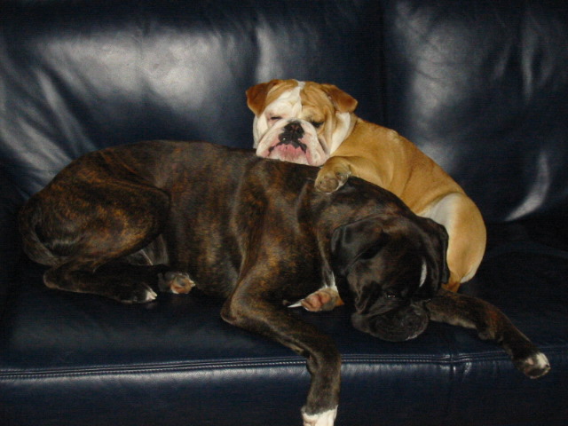 just the two of them
