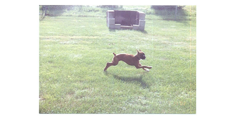 Just try to catch me with that stupid camera