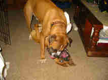 Just wait till I get up!