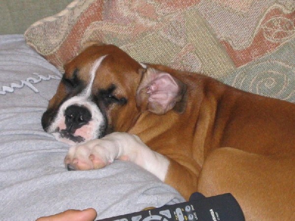 Just watching the game with Dad