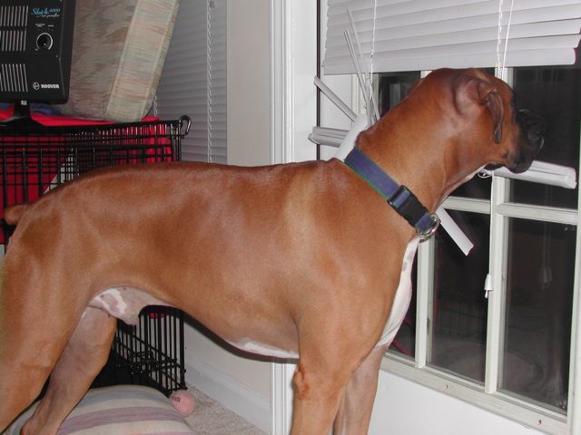 just watching