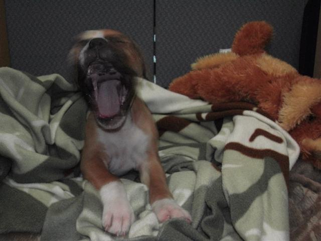 Just woke-up