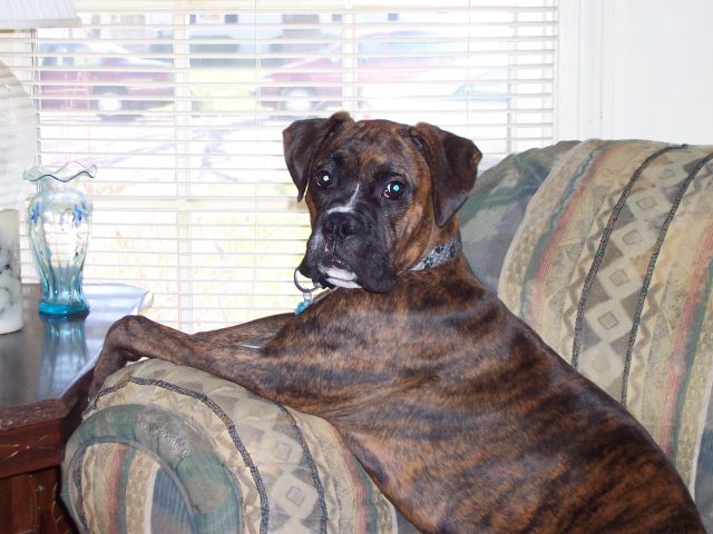 Just_chillin