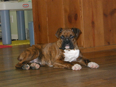 Kabuto 3 months
